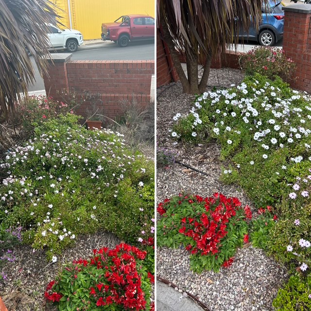 gardening services burnie tas