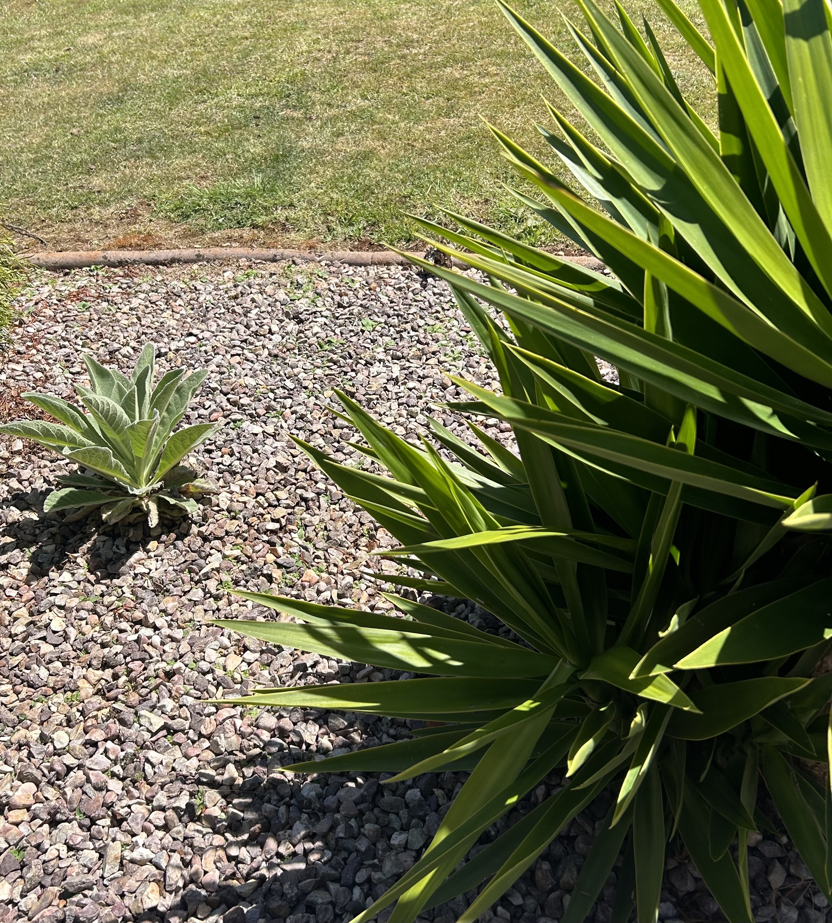 gardeners north west tasmania