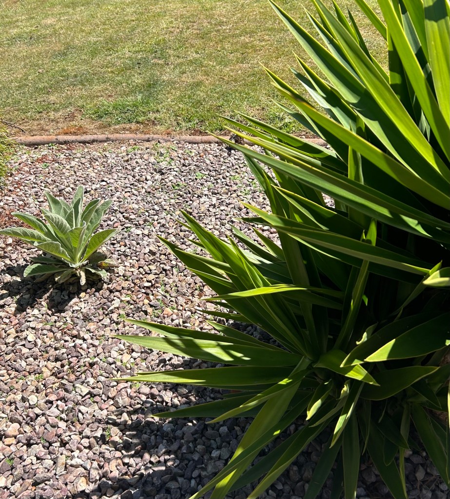 gardeners north west tasmania
