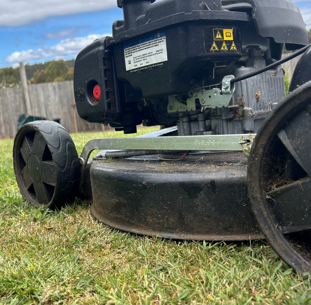 lawn mowing burnie