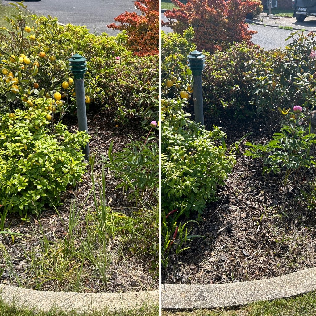 ulverstone gardening services