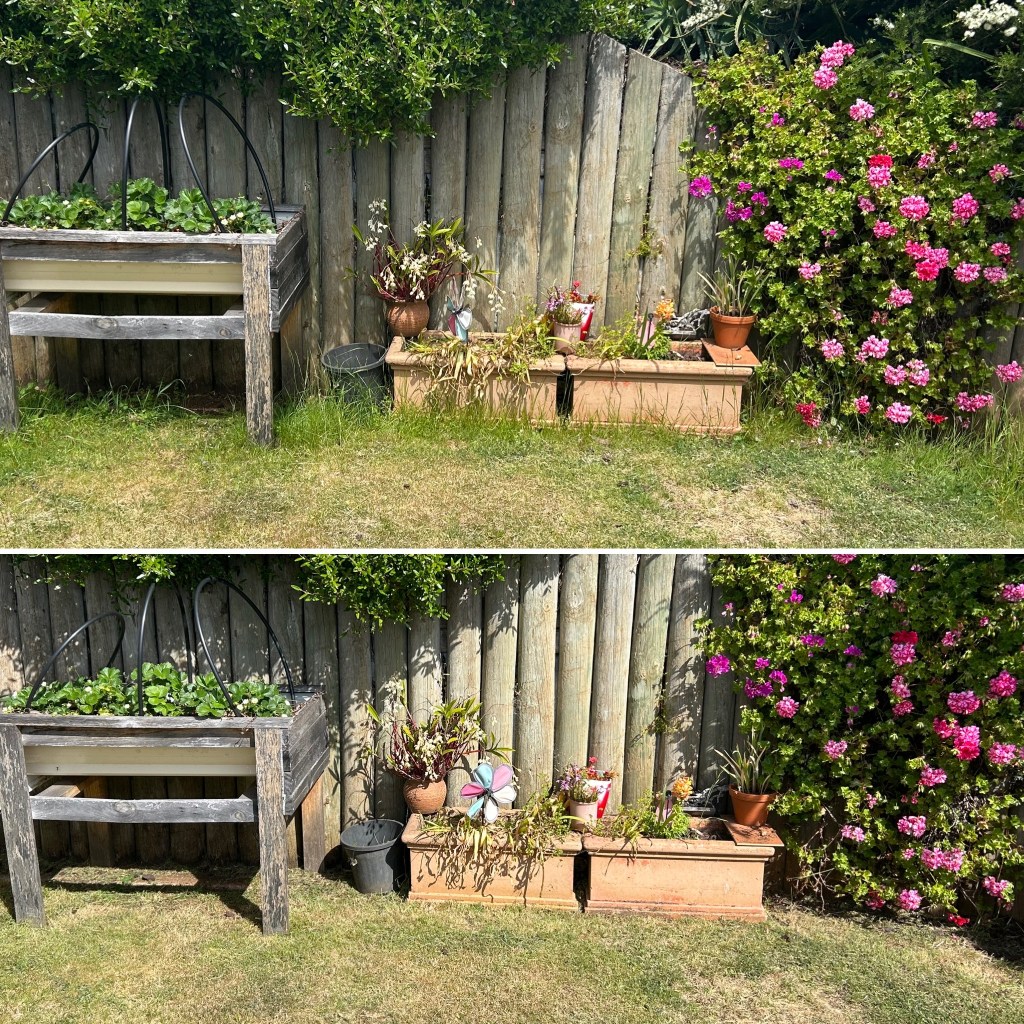 yard maintenance burnie