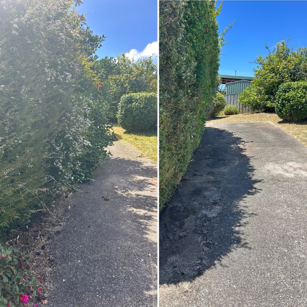 rental inspection gardening burnie