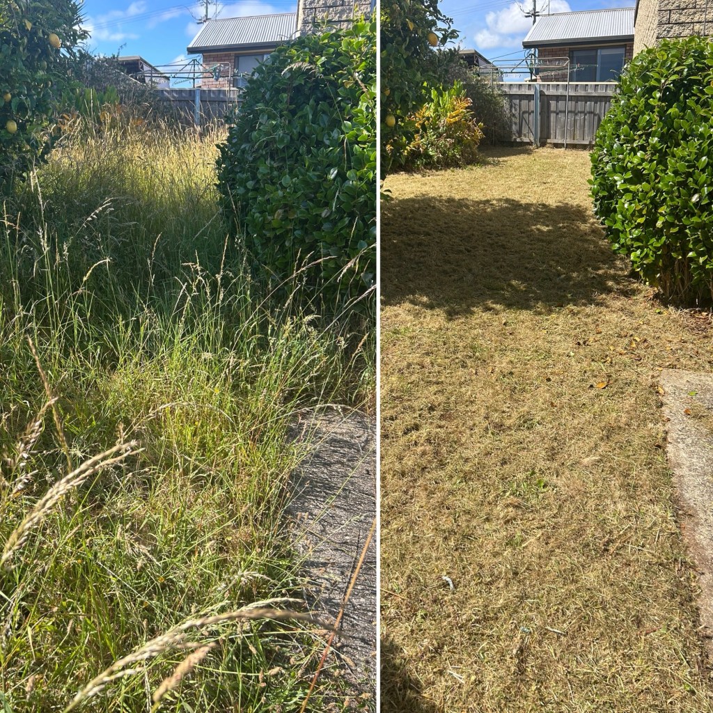 lawn mowing north west tasmania
