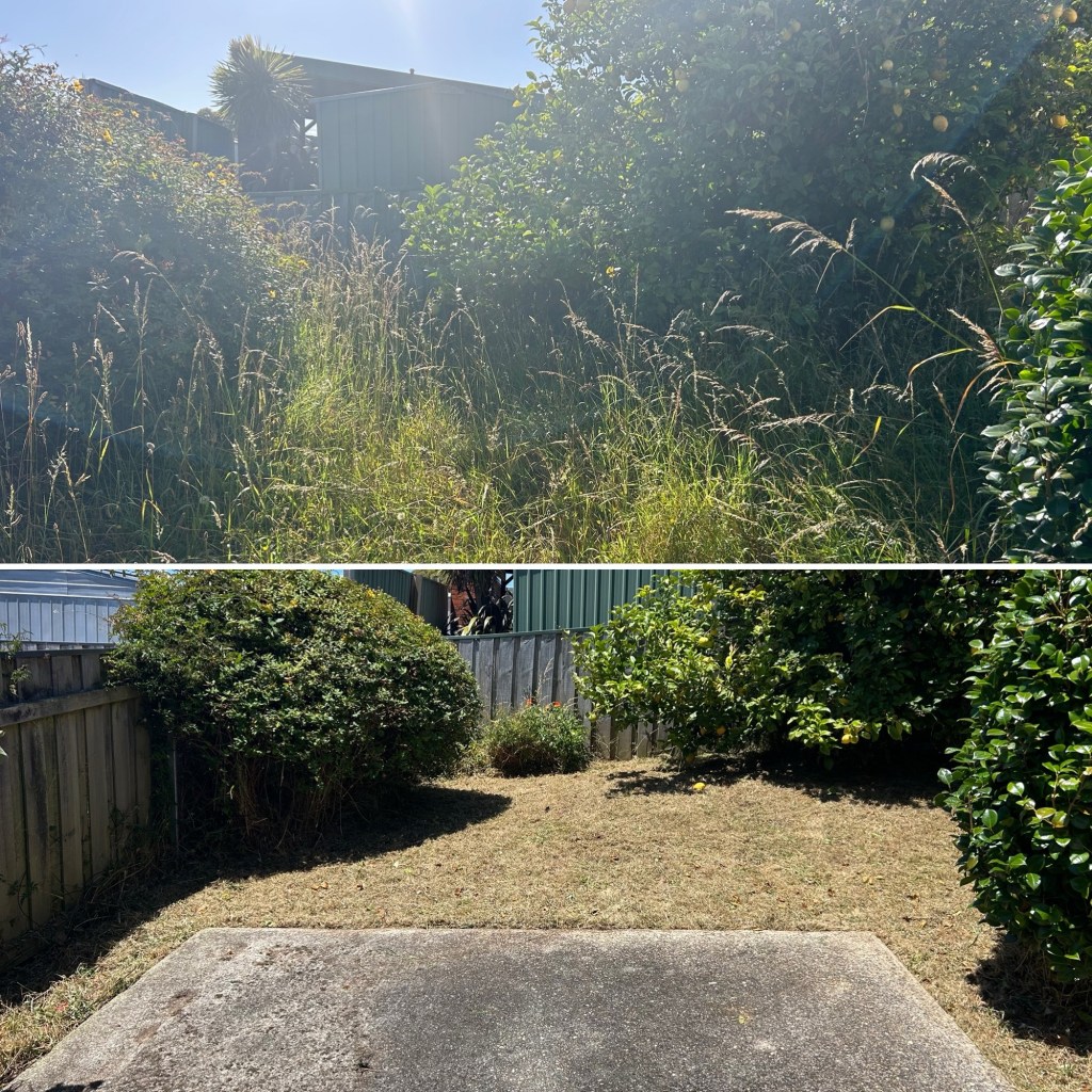 burnie yard cleanups